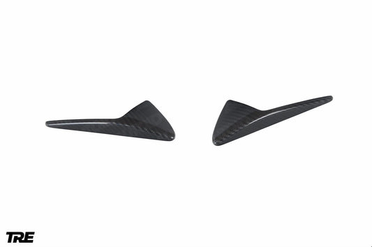 Tesla Model 3 (2018+) Pre-Preg Carbon Fiber Side Fender Trims for Tesla Model 3 (2018+)